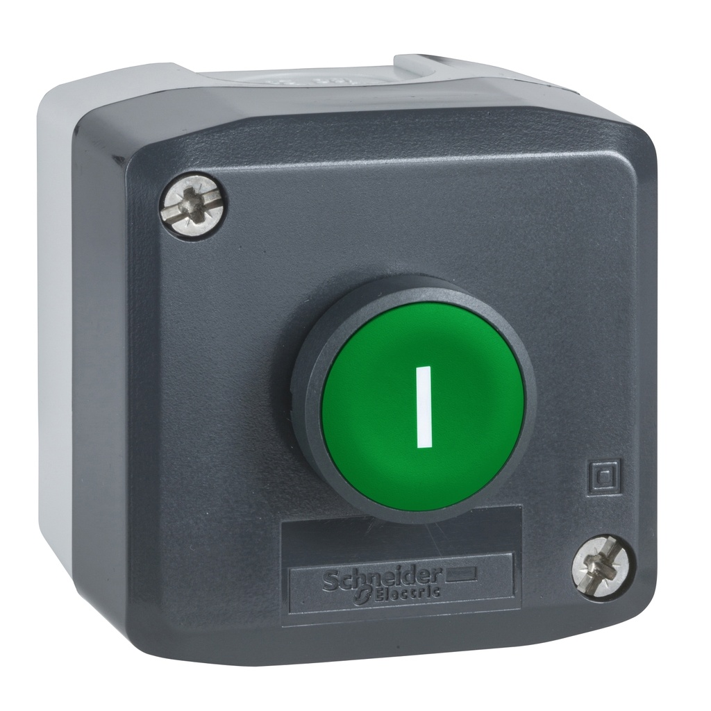 CAJA 1 PULS. RASTE VERDE SCHNEDIER