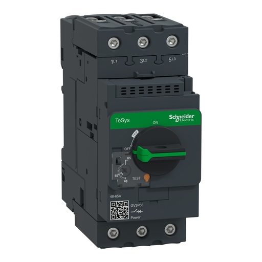 [GV3P65] GUARDAMOTOR 48-65A SCHNEIDER